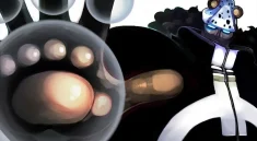 Pertarungan Terbesar Kuma