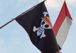 Bendera One Piece