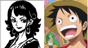 Apakah Tritoma Ibu Luffy? Ini Beberapa Teori yang Mendukung Perihal Tersebut!
